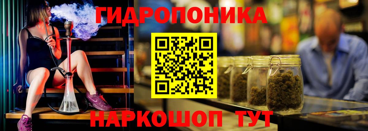 Вятские Поляны  Бошки марихуана марихуана  Конопля марихуана  Вход с VPN  МАРИХУАНА White Widow 
